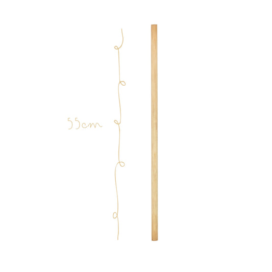 Baston de Madera 55cm